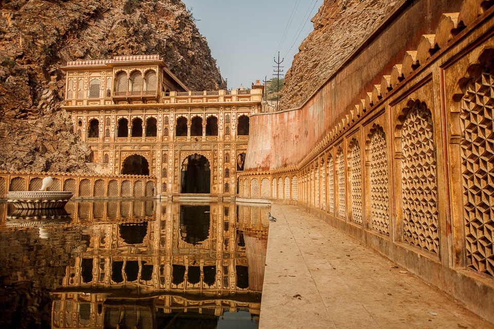 El Templo De Los Monos De Galwar Bagh En Jaipur