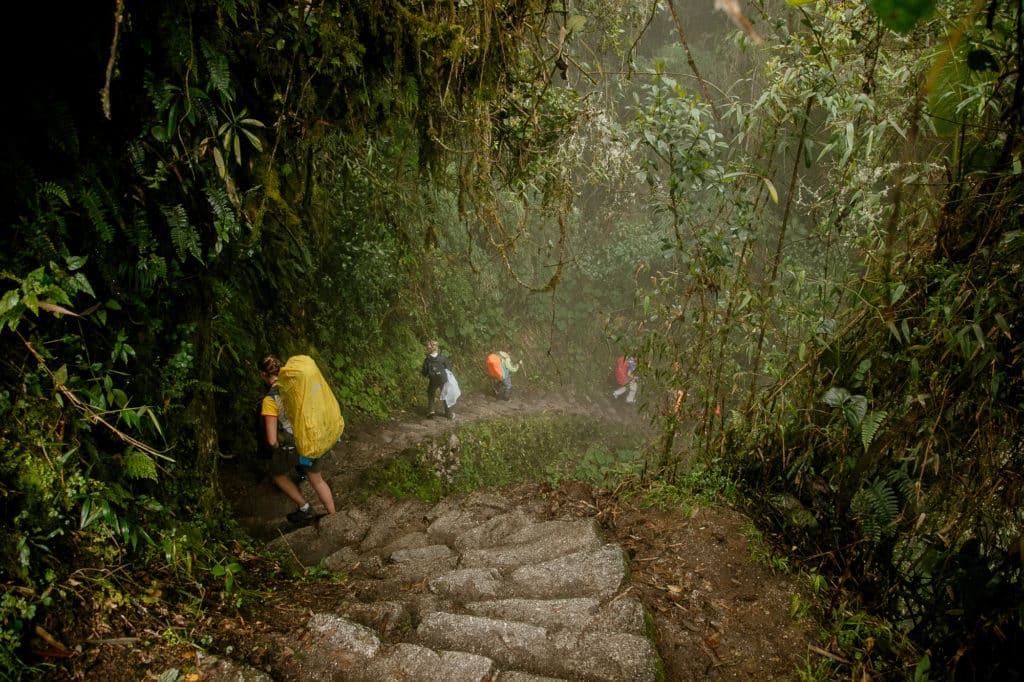 Caminando entre la Naturaleza en Machu Picchu