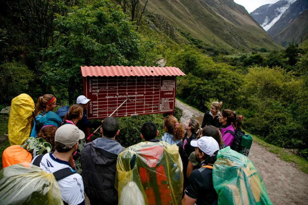 Planificando Etapas Camino a Machu Picchu