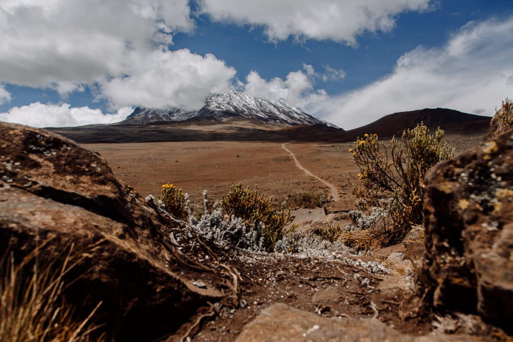 Día 6 | Horombo (3700 Mts) - Puerta Marangu (1840 Mts) | Kilimanjaro